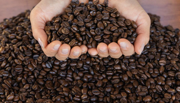 新素材 廃棄コーヒー豆からできた「コーヒーレザー」の新たに期待される抗菌効果と消臭効果を製品に活用【ステータシー株式会社】