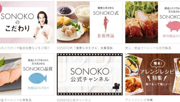あの「美白の女王」鈴木その子が立ち上げた健康的に食べられる常備食を製造する健康食品ブランド「SONOKO」