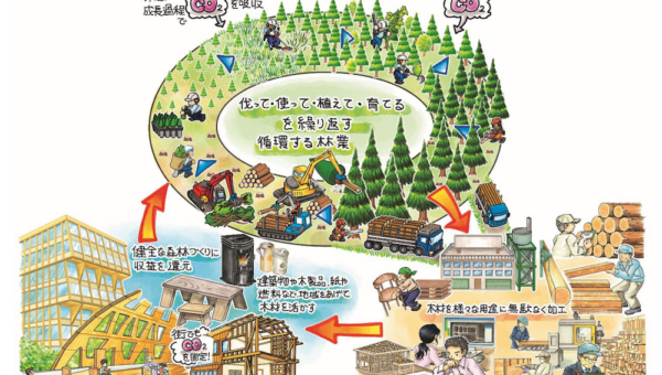 綿半建材が「伐る・使う・植える・育てる」を柱とした森林の再生に向け、長野県飯田市千代の山林 約 1,500ha を取得
