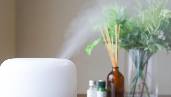 「光」や「蒸気」にも注目　インテリアとしてもこだわる加湿器