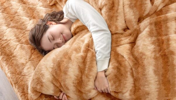 猫好き必見！“あの”シリーズにカバーになる毛布登場！ 人気の「もはや、ねこ。」に包まれて、癒される冬に