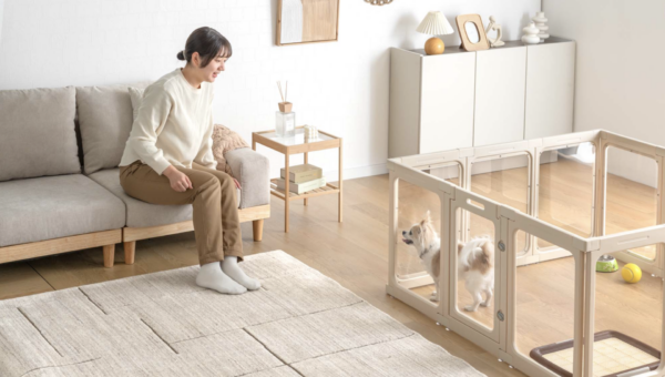愛犬の様子が一目でわかるクリアペットサークルが登場 圧迫感のないクリア仕様で愛犬の快適空間を実現