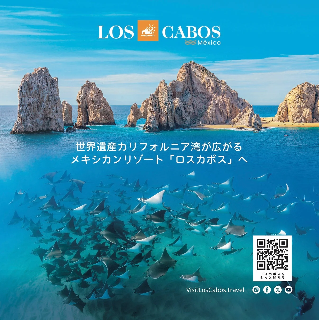 ロスカボスの美しい海岸線と海中のエイ