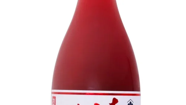 「あらごしシリーズ」20周年記念！果肉感あふれる『梅乃宿あらごしいちご』が10月1日より季節限定発売