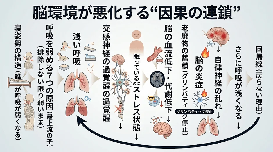 脳環境が悪化する「因果の連鎖」を図解