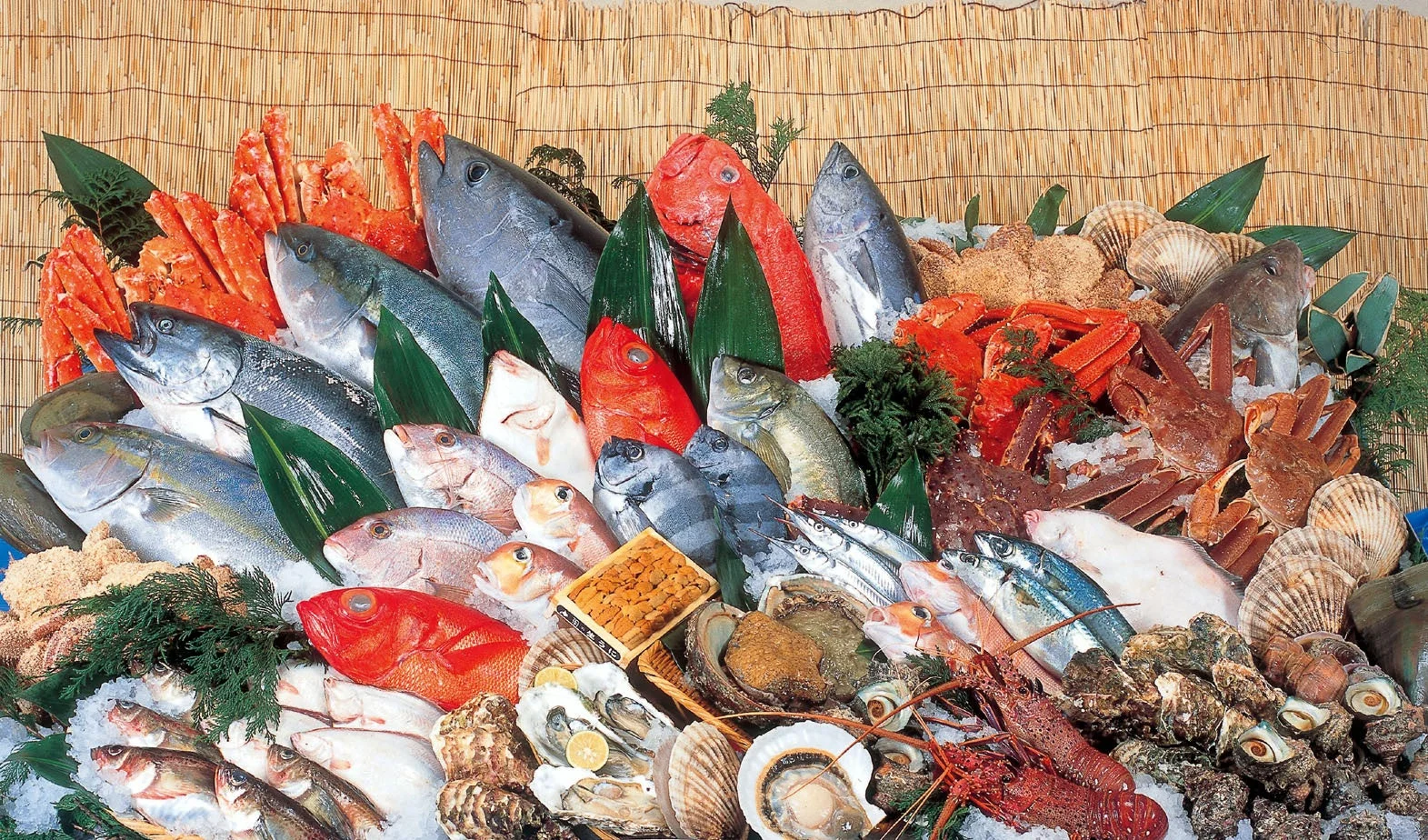 魚力商品