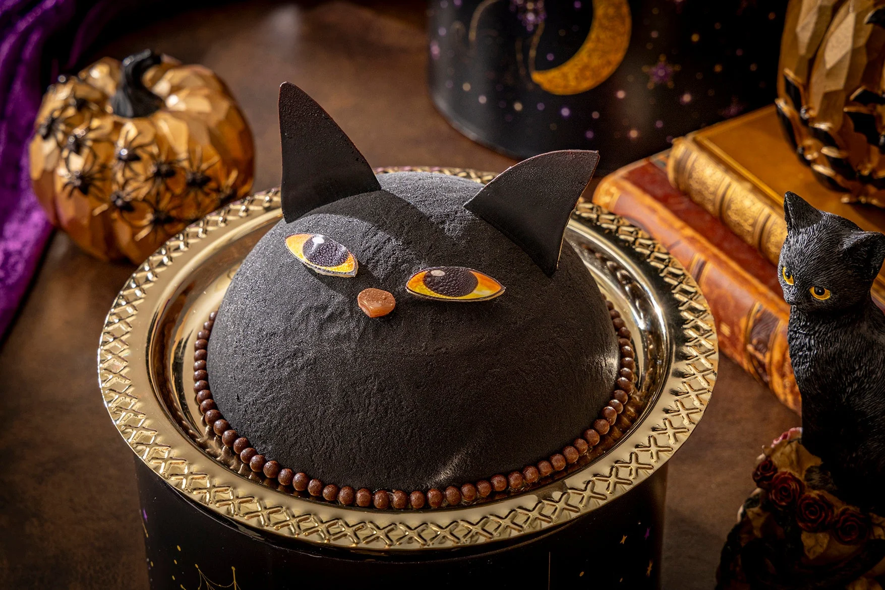 真夜中の黒猫
