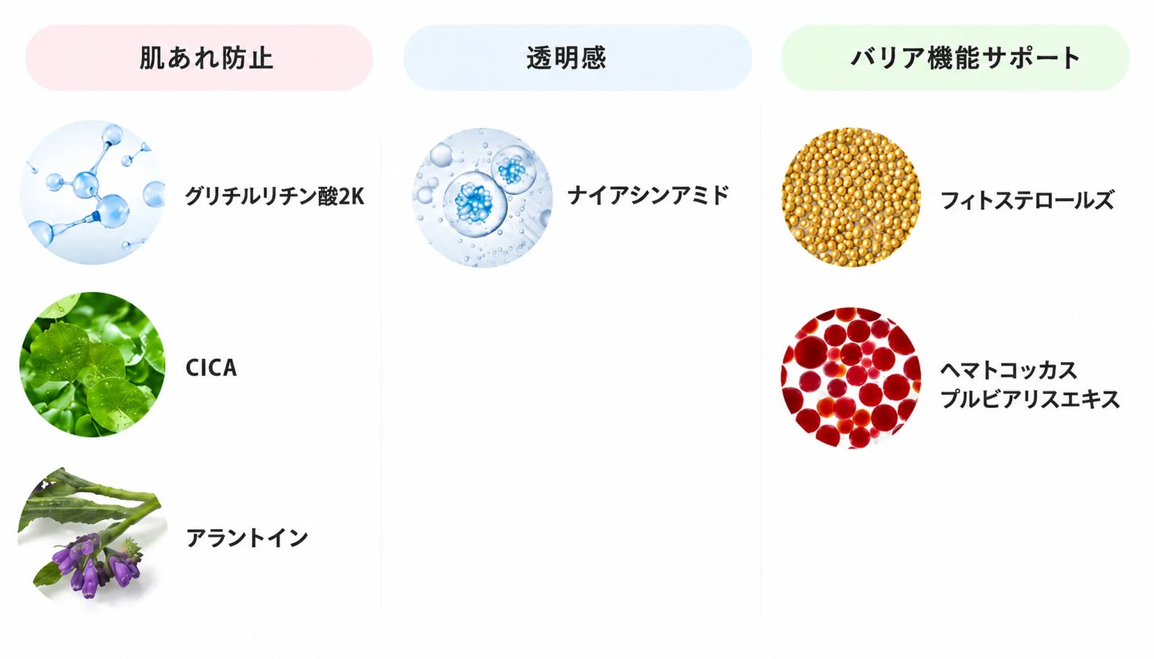 厳選美容成分の説明図
