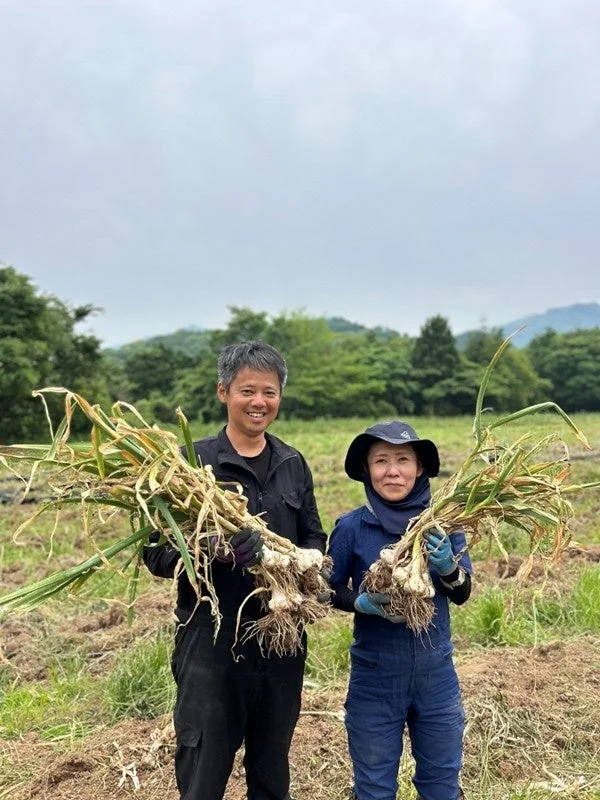 畑で収穫する人々
