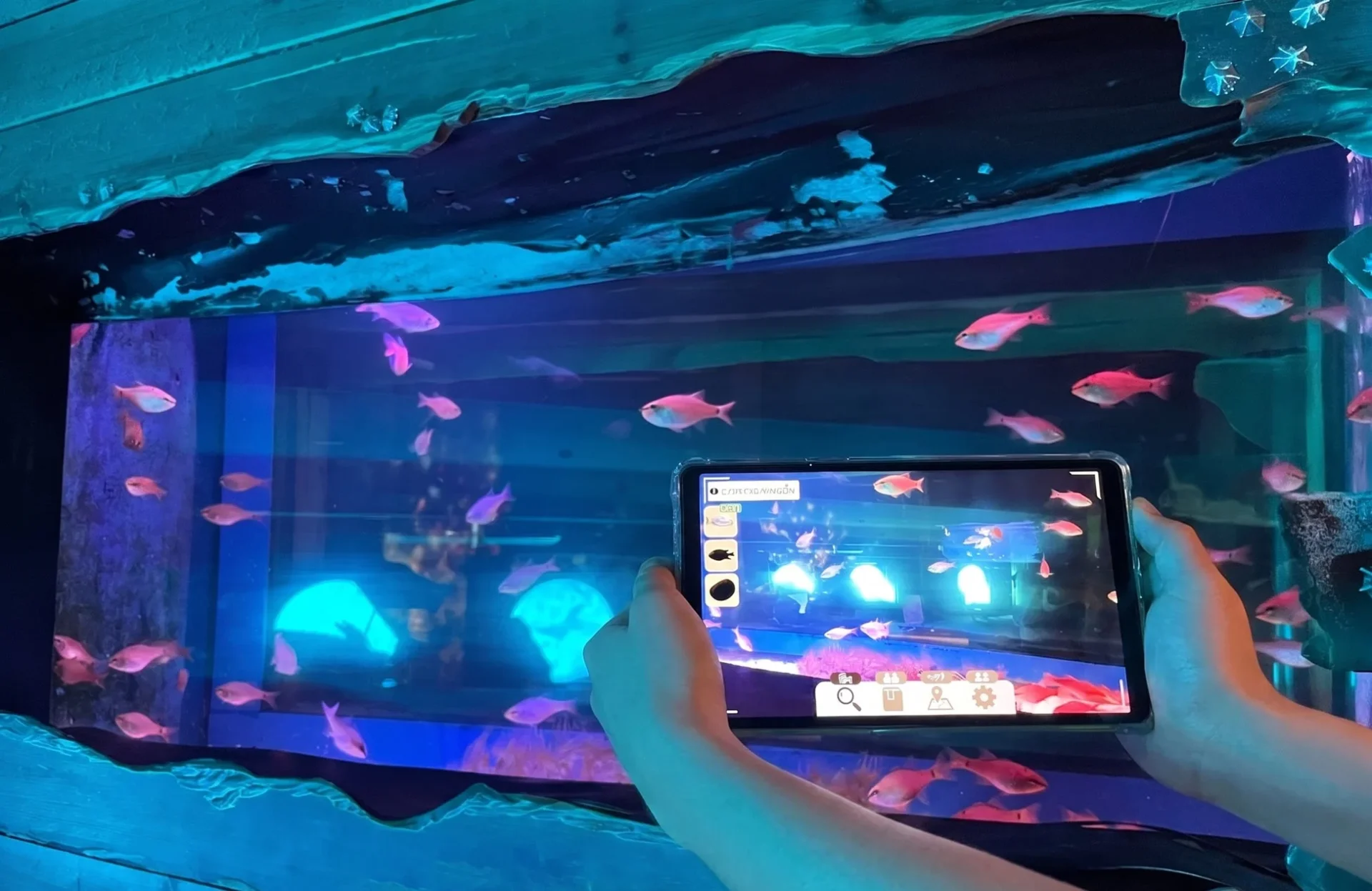 タブレットで水槽の魚を認識する様子