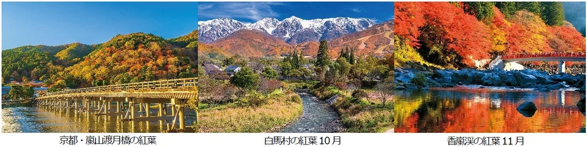 紅葉の渡月橋、白馬村、香嵐渓