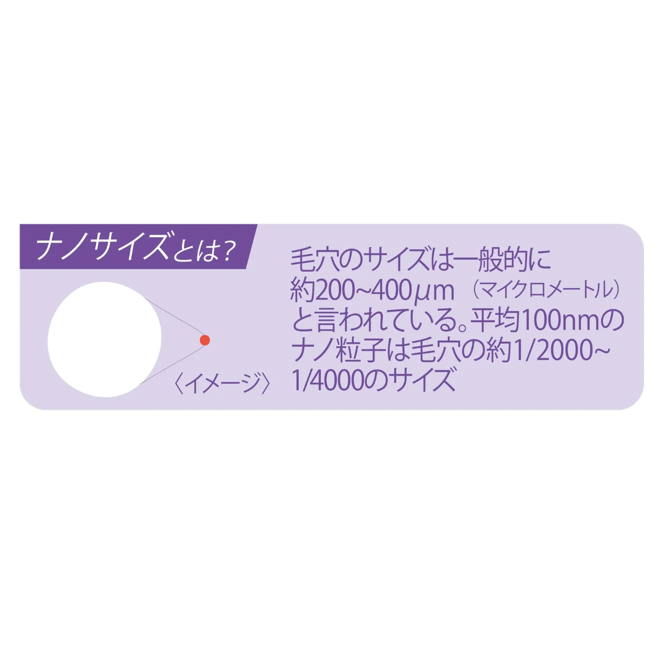 ナノサイズと毛穴サイズの比較図