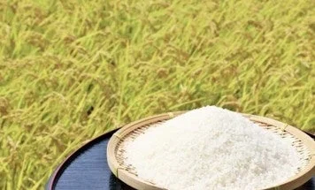 環境に優しい「意味のあるお米」が予約受付開始！バイオ炭でCO2削減に貢献する新米「つや姫」「きぬむすめ」