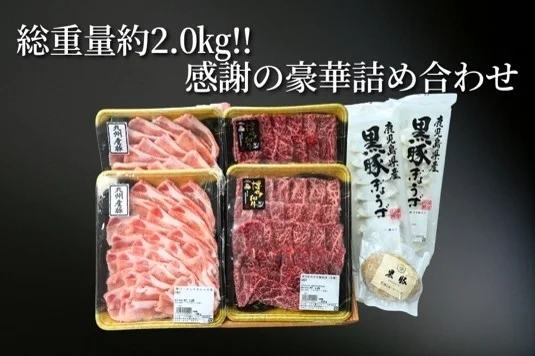 総重量約2.0kg!! 感謝の豪華詰め合わせ 九州産豚 鹿児島黒豚 鹿児島黒豚ぎょうざ