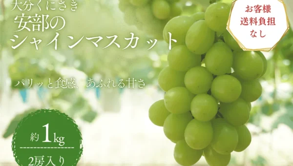 世界農業遺産育ちの大分県産シャインマスカットが送料負担なし！JAタウンでお得なキャンペーン実施中