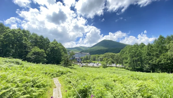 9月でも東京より8℃以上涼しい！群馬・嬬恋村の「休暇村嬬恋鹿沢」が1日5部屋限定の「避暑旅プラン」を販売