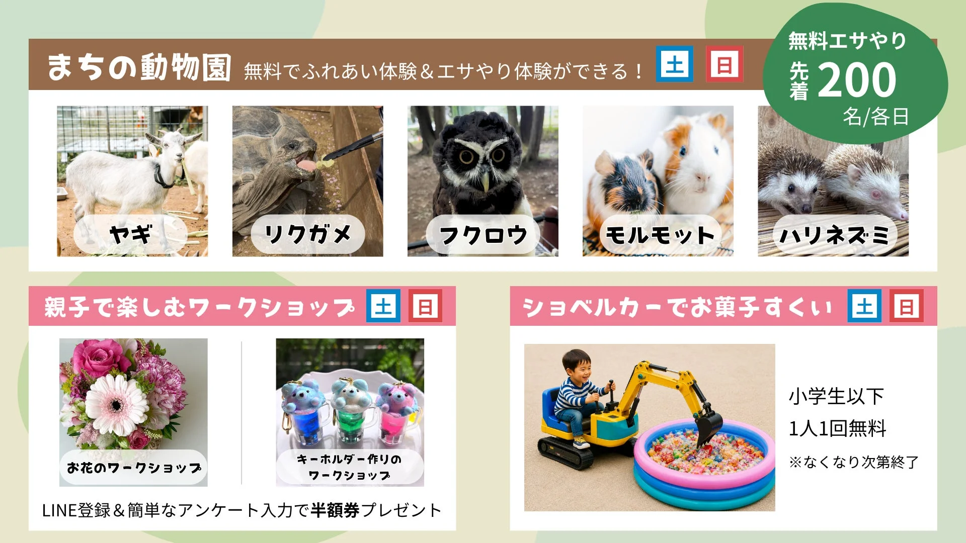 ふれあい動物園とワークショップの様子