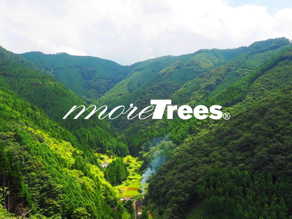 more treesのロゴと森林風景