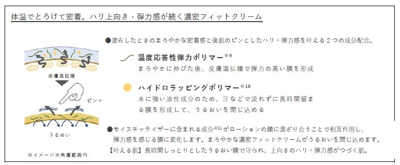 体温でとろけて密着。ハリ上向き・弾力感が続く濃厚フィットクリーム