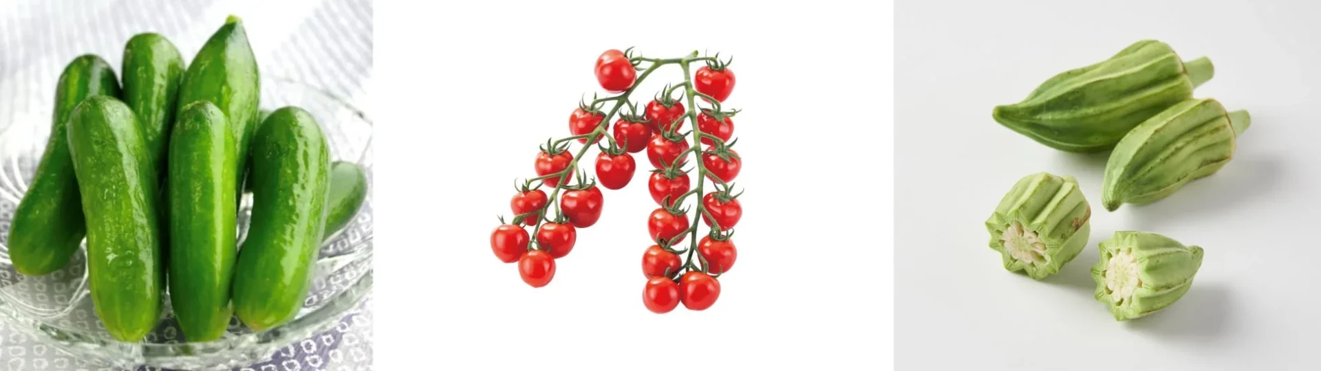 新鮮な野菜が3種類並べられた画像です。左にはガラスの器に入ったきゅうり、中央には枝付きのミニトマト、右には数本のおくらが写っており、一部は断面が見えるようにカットされています。