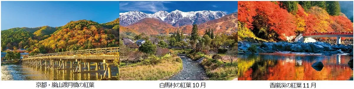京都・嵐山渡月橋の紅葉、白馬村の紅葉(10月)、香嵐渓の紅葉(11月)