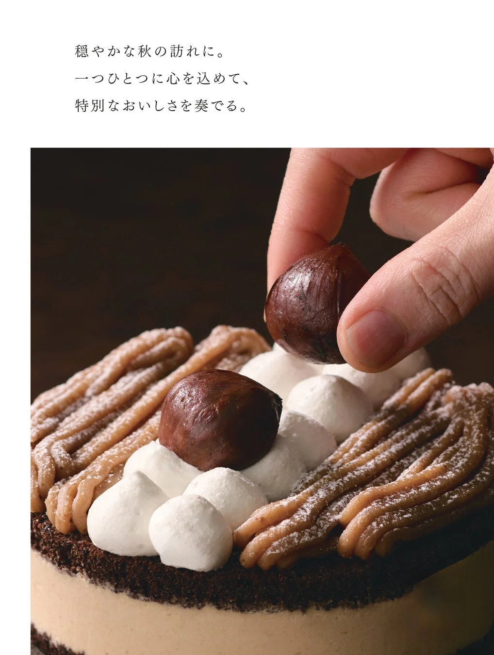 穏やかな秋の訪れに