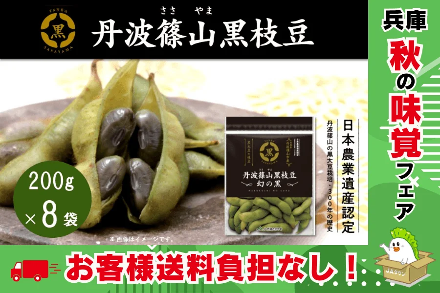 丹波篠山黒枝豆