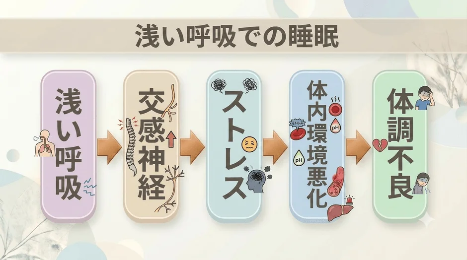 浅い呼吸が体調不良を引き起こすメカニズムの図解