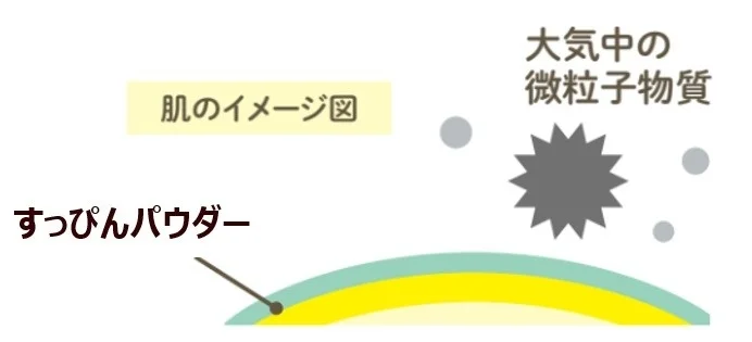 肌に塗布された「すっぴんパウダー」が、大気中の微粒子物質から肌を保護するイメージ図