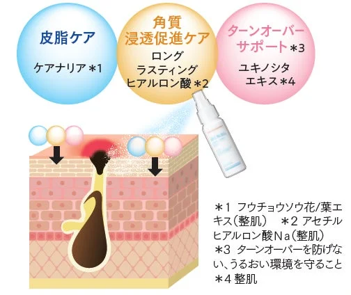 皮脂ケア、角質への浸透促進ケア、ターンオーバーサポートという3つの側面から肌をケアする製品のメカニズムを示しています。