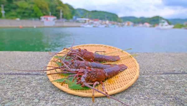 南伊豆町で旬の伊勢海老を堪能！「伊勢海老まつり2026」と豪華な旅のプランが登場
