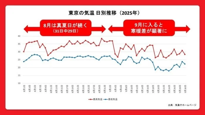 2025年の東京の気温日別推移