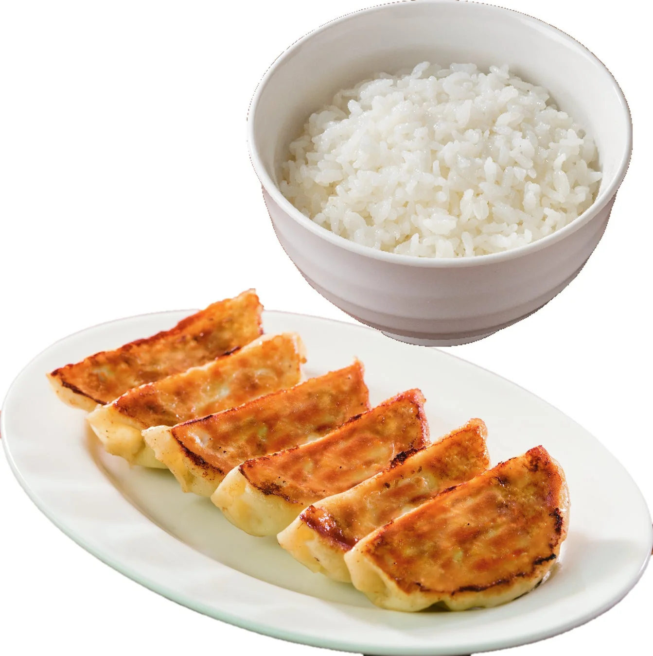 焼き餃子6個と白いご飯のセット