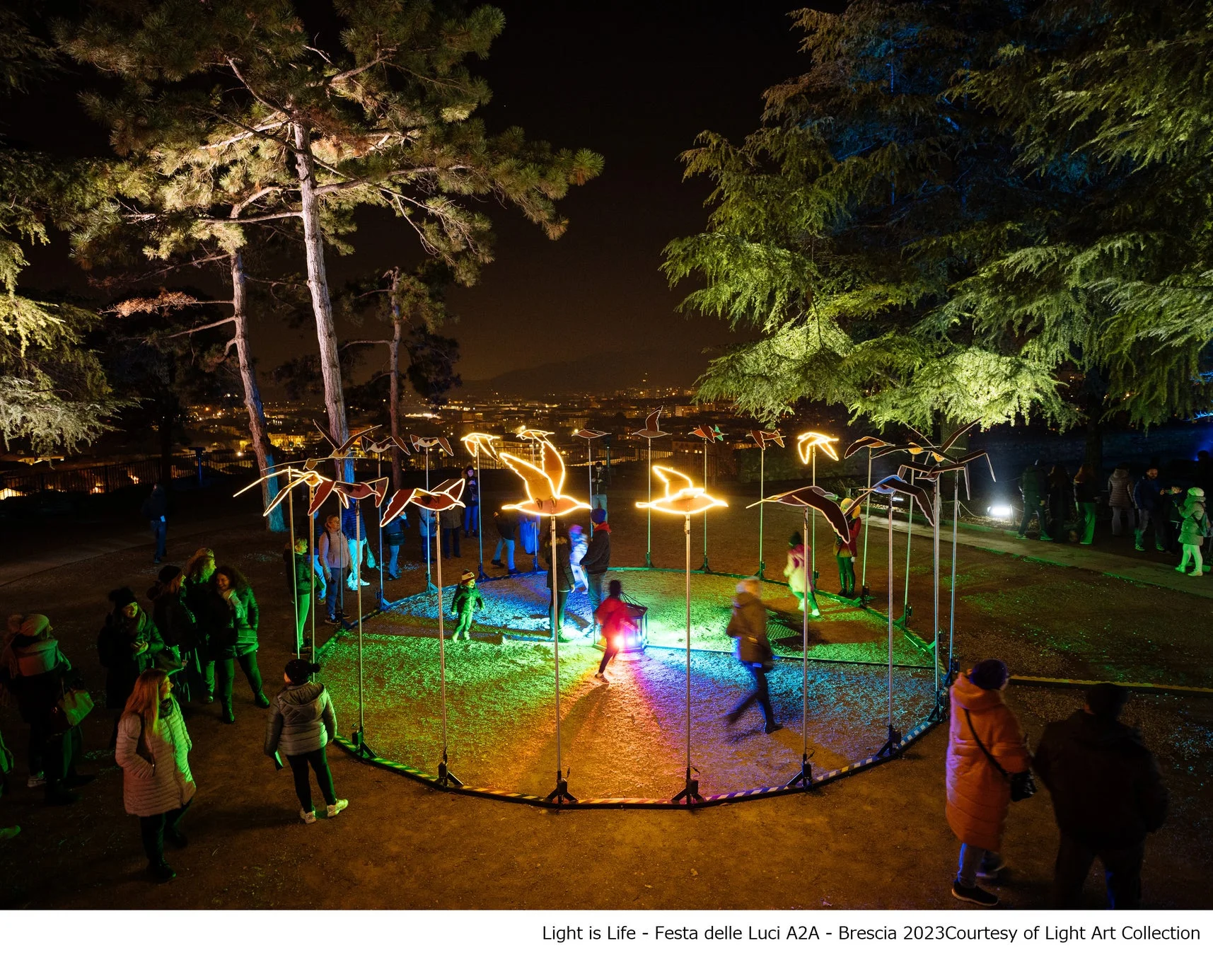 夜の公園で光る鳥のアートインスタレーション