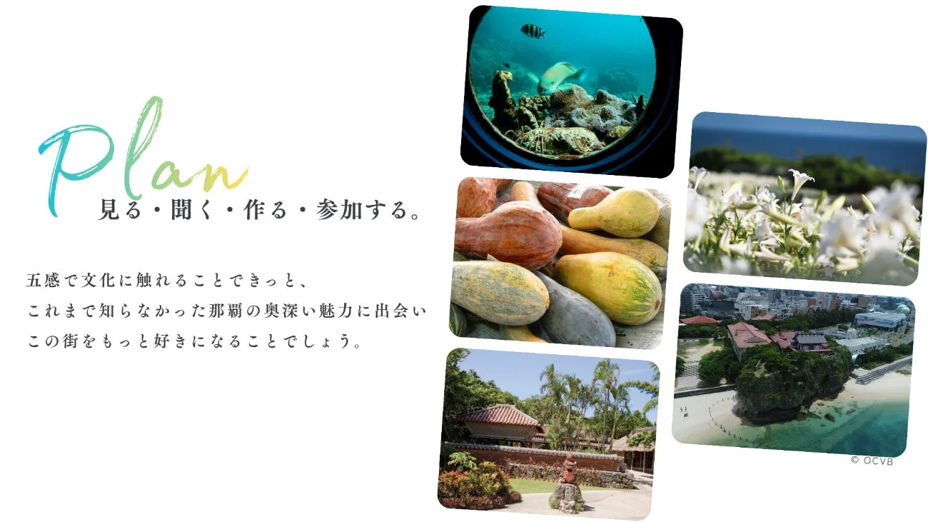 那覇の文化体験と海中生物、伝統家屋