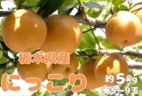 栃木県産 にっこり梨