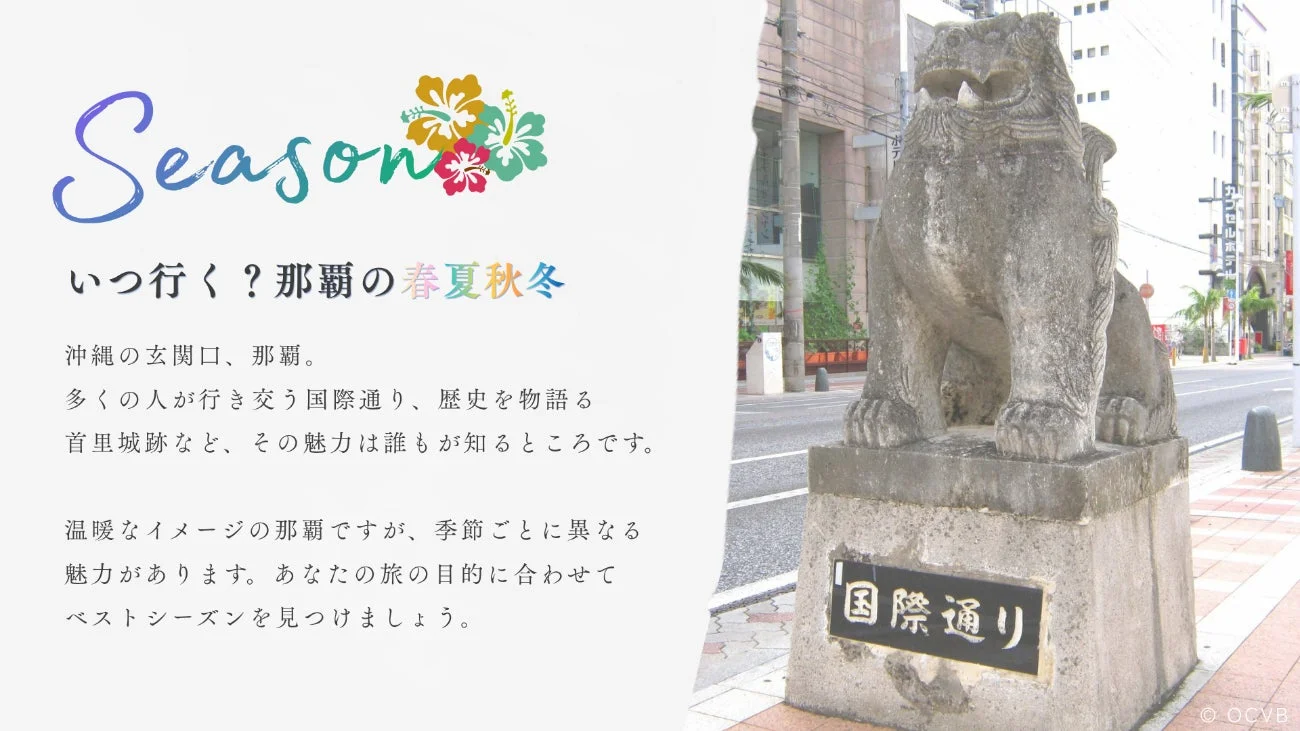那覇の春夏秋冬と国際通りのシーサー