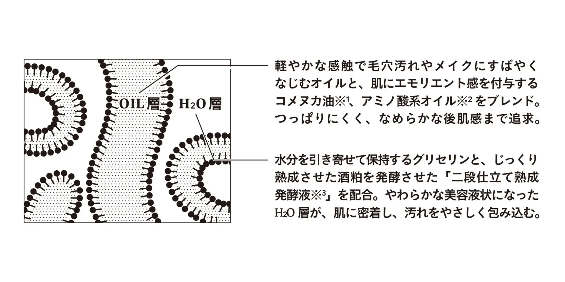 OIL層 H2O層