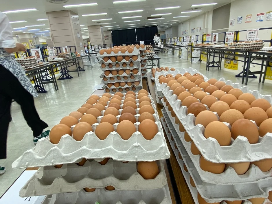 大量の卵