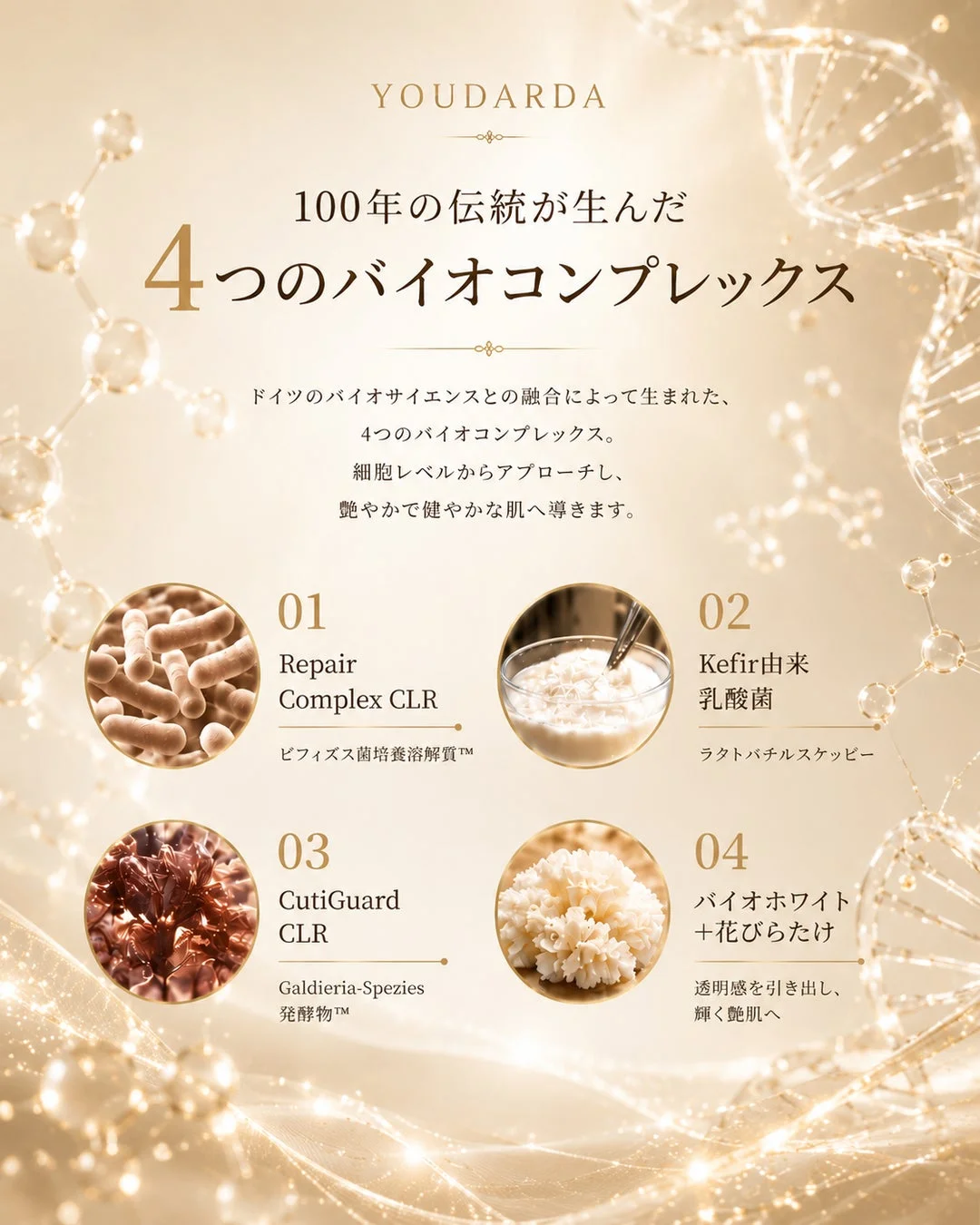 YOUDARDA 100年の伝統が生んだ 4つのバイオコンプレックス ドイツのバイオサイエンスとの融合によって生まれた、4つのバイオコンプレックス。細胞レベルからアプローチし、艶やかで健やかな肌へ導きます。 01 Repair Complex CLR ビフィズス菌培養溶解質™ 02 Kefir由来 乳酸菌 ラクトバチルスケービー 03 CutiGuard CLR Galdieria-Spezies 発酵物™ 04 バイオホワイト +花びらたけ 透明感を引き出し、輝く艶肌へ