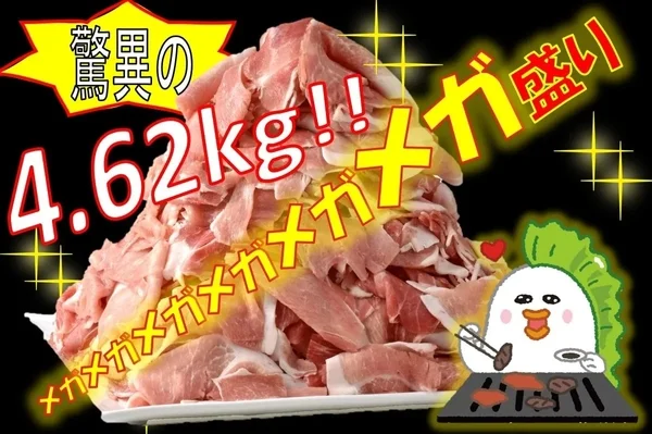 北海道産SPF豚もも切り落とし