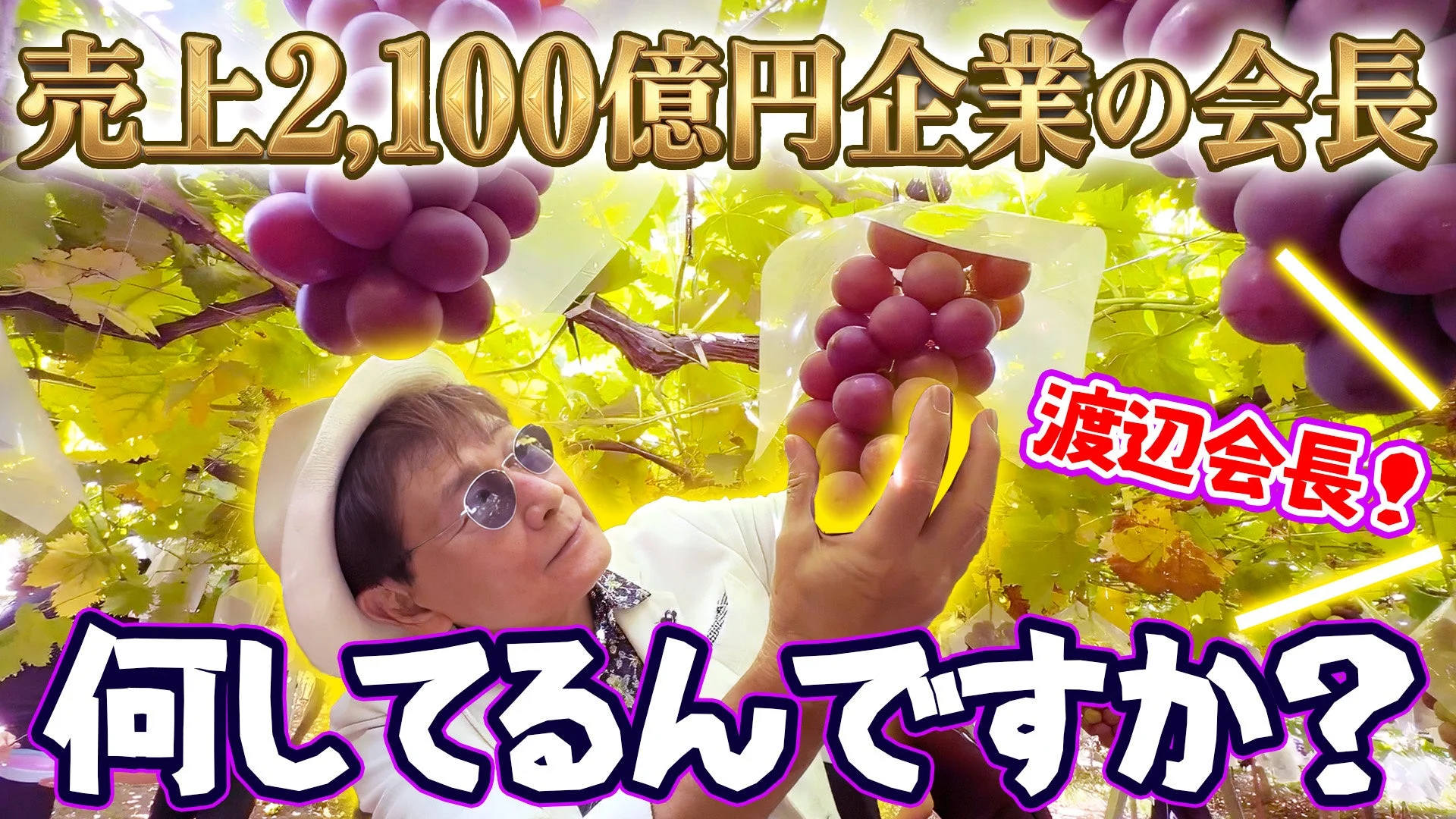 ぶどう畑でぶどうを持つ渡辺会長