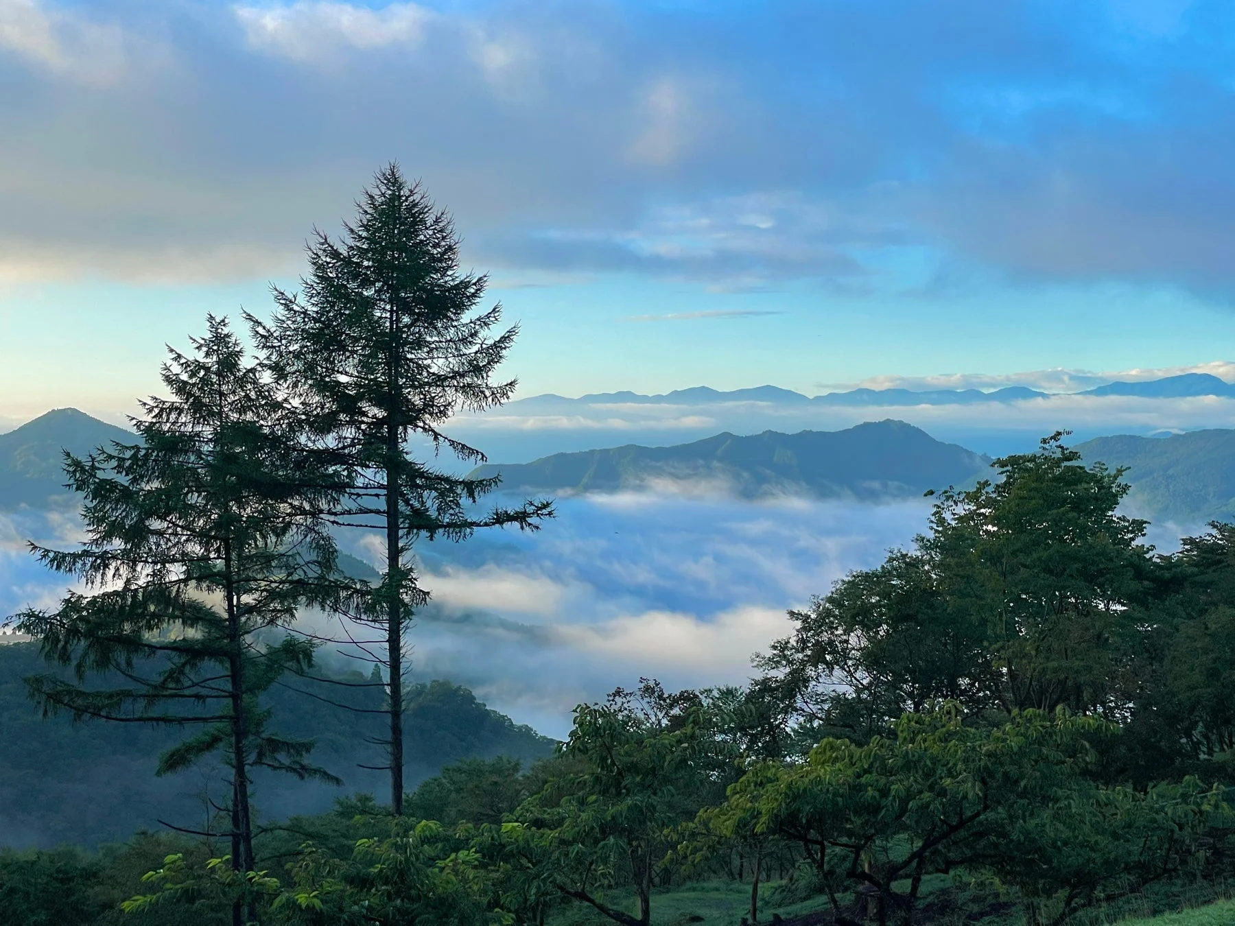 群馬県神流町の雲海と森