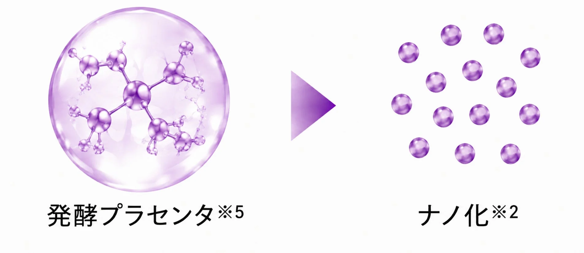 発酵プラセンタとナノ化のイメージ図