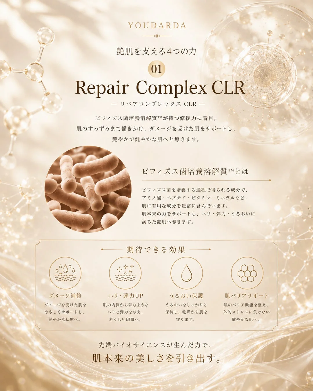 YOUDARDA 艶肌を支える4つの力 01 Repair Complex CLR - リペアコンプレックス CLR - ビフィズス菌培養溶解質™が持つ修復力に着目。肌のすみずみまで働きかけ、ダメージを受けた肌をサポートし、艶やかで健やかな肌へと導きます。ビフィズス菌培養溶解質™とは ビフィズス菌を培養する過程で得られる成分で、アミノ酸・ペプチド・ビタミン・ミネラルなど、肌に有用な成分を豊富に含んでいます。肌本来の力をサポートし、ハリ・弾力・うるおいに満ちた艶肌へ導きます。期待できる効果 ダメージ補修 ダメージを受けた肌をやさしくサポートし、健やかな状態へ。ハリ・弾力UP 肌の内側から弾むようなハリと弾力を与え、若々しい印象へ。うるおい保護 うるおいをしっかりと保持し、乾燥から肌を守ります。肌バリアサポート 肌のバリア機能を整え、外的ストレスに負けない健やかな肌へ。先端バイオサイエンスが生んだ力で、肌本来の美しさを引き出す。