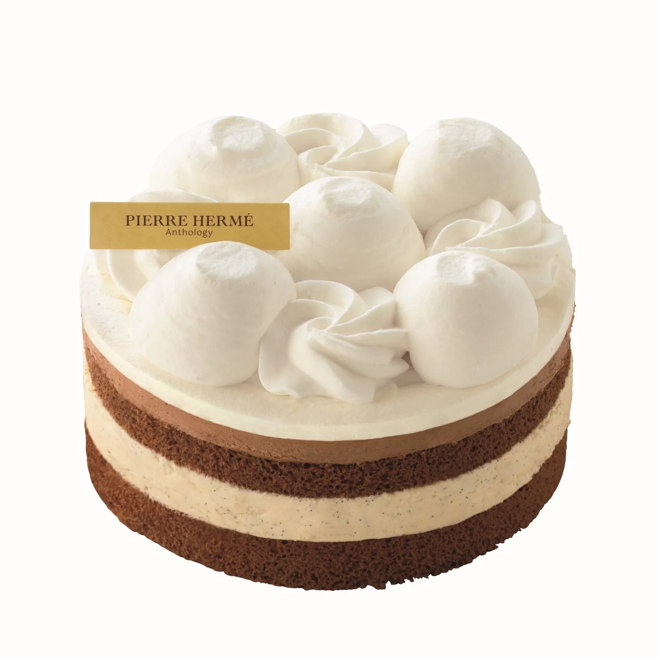 チョコレートスポンジとバニラクリーム、チョコレートムースが層になったホールケーキ