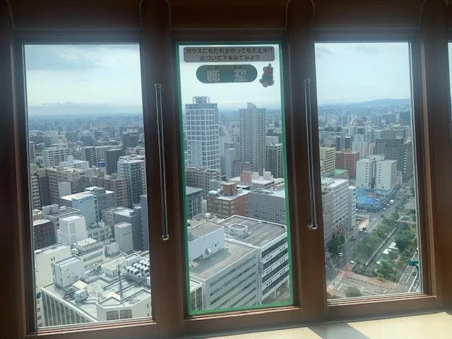 展望台からの眺めと案内