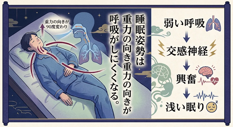 睡眠時の姿勢が呼吸に与える影響と、それが睡眠の質を低下させるメカニズム
