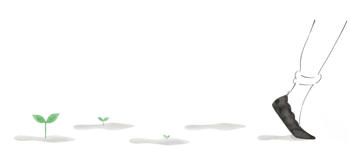 足跡と新芽のイラスト