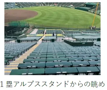 1塁アルプススタンドからの眺め